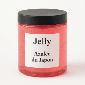 jelly-azalee-du-japon